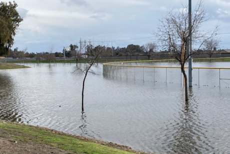 A view of the Lions Park softball facility under water earlier this week.